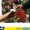 Kép 1/3 - Tűzőgép Rapid Classic K1 50lap kézi (24/6-8 kapocshoz) króm Rapid 1db rendelési egység ár 1db-ra