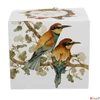 Kép 4/5 - Bögre 400 ml World of Birds EUROPEAN BEE-EATER Díszdobozban