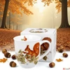 Kép 2/3 - Bögre porcelán 400ml dobozban, Squirrel
