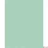 Kép 2/2 - Dekorkarton 2 oldalas 50x70cm 300 g 10lap FOLIA menta