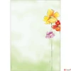 Kép 1/3 - Előnyomott papír A4 90g, SIGEL "Spring Flowers