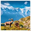 Kép 6/14 - Falinaptár 2026 Alps lemeznaptár 30×30cm Realsystem 2026 kollekció!