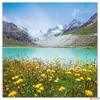 Kép 7/14 - Falinaptár 2026 Alps lemeznaptár 30×30cm Realsystem 2026 kollekció!