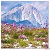 Kép 9/14 - Falinaptár 2026 Alps lemeznaptár 30×30cm Realsystem 2026 kollekció!