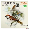 Kép 1/14 - Falinaptár 2026 Birds in Art 6097-BI lemeznaptár 30x30 cm Realsystem 2026 kollekció!
