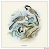 Kép 9/14 - Falinaptár 2026 Birds in Art 6097-BI lemeznaptár 30x30 cm Realsystem 2026 kollekció!