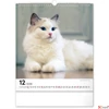 Kép 13/13 - Falinaptár 2026 Cats 6087-CA spirálos 30×34cm Realsystem 2026 kollekció!