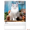 Kép 3/13 - Falinaptár 2026 Cats 6087-CA spirálos 30×34cm Realsystem 2026 kollekció!