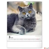 Kép 4/13 - Falinaptár 2026 Cats 6087-CA spirálos 30×34cm Realsystem 2026 kollekció!