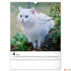 Kép 5/13 - Falinaptár 2026 Cats 6087-CA spirálos 30×34cm Realsystem 2026 kollekció!