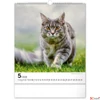 Kép 6/13 - Falinaptár 2026 Cats 6087-CA spirálos 30×34cm Realsystem 2026 kollekció!