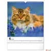 Kép 7/13 - Falinaptár 2026 Cats 6087-CA spirálos 30×34cm Realsystem 2026 kollekció!