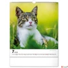 Kép 8/13 - Falinaptár 2026 Cats 6087-CA spirálos 30×34cm Realsystem 2026 kollekció!
