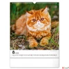 Kép 9/13 - Falinaptár 2026 Cats 6087-CA spirálos 30×34cm Realsystem 2026 kollekció!