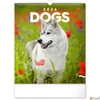 Kép 1/13 - Falinaptár 2026 Dogs 6087-DO spirálos 30×34cm Realsystem 2026 kollekció!