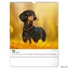 Kép 12/13 - Falinaptár 2026 Dogs 6087-DO spirálos 30×34cm Realsystem 2026 kollekció!