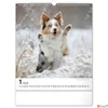 Kép 2/13 - Falinaptár 2026 Dogs 6087-DO spirálos 30×34cm Realsystem 2026 kollekció!