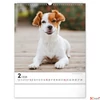 Kép 3/13 - Falinaptár 2026 Dogs 6087-DO spirálos 30×34cm Realsystem 2026 kollekció!