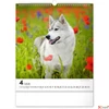 Kép 5/13 - Falinaptár 2026 Dogs 6087-DO spirálos 30×34cm Realsystem 2026 kollekció!