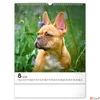 Kép 9/13 - Falinaptár 2026 Dogs 6087-DO spirálos 30×34cm Realsystem 2026 kollekció!
