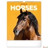 Kép 1/13 - Falinaptár 2026 Horses 6087-HO spirálos 30×34cm Realsystem 2026 kollekció!