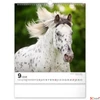 Kép 10/13 - Falinaptár 2026 Horses 6087-HO spirálos 30×34cm Realsystem 2026 kollekció!