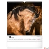 Kép 12/13 - Falinaptár 2026 Horses 6087-HO spirálos 30×34cm Realsystem 2026 kollekció!