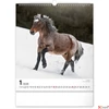 Kép 2/13 - Falinaptár 2026 Horses 6087-HO spirálos 30×34cm Realsystem 2026 kollekció!