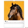 Kép 5/13 - Falinaptár 2026 Horses 6087-HO spirálos 30×34cm Realsystem 2026 kollekció!