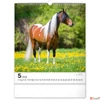 Kép 6/13 - Falinaptár 2026 Horses 6087-HO spirálos 30×34cm Realsystem 2026 kollekció!