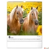 Kép 7/13 - Falinaptár 2026 Horses 6087-HO spirálos 30×34cm Realsystem 2026 kollekció!