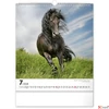 Kép 8/13 - Falinaptár 2026 Horses 6087-HO spirálos 30×34cm Realsystem 2026 kollekció!
