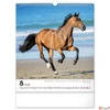 Kép 9/13 - Falinaptár 2026 Horses 6087-HO spirálos 30×34cm Realsystem 2026 kollekció!