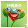Kép 1/14 - Falinaptár 2026 Keep Smiling lemeznaptár 30×30cm Realsystem 2026 kollekció!