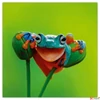 Kép 7/14 - Falinaptár 2026 Keep Smiling lemeznaptár 30×30cm Realsystem 2026 kollekció!