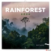 Kép 1/14 - Falinaptár 2026 Lemeznaptár Amazing Rainforest  30×30cm Realsystem 2026 kollekció!