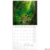 Kép 14/14 - Falinaptár 2026 Lemeznaptár Amazing Rainforest  30×30cm Realsystem 2026 kollekció!