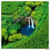 Kép 4/14 - Falinaptár 2026 Lemeznaptár Amazing Rainforest  30×30cm Realsystem 2026 kollekció!
