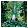 Kép 6/14 - Falinaptár 2026 Lemeznaptár Amazing Rainforest  30×30cm Realsystem 2026 kollekció!