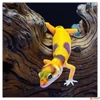 Kép 14/14 - Falinaptár 2026 Lizards lemeznaptár 30×30cm Realsystem 2026 kollekció!