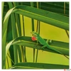 Kép 5/14 - Falinaptár 2026 Lizards lemeznaptár 30×30cm Realsystem 2026 kollekció!