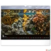 Kép 10/13 - Falinaptár 2026 Ocean, 48×33 cm Realsystem 2026 kollekció!