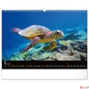 Kép 2/13 - Falinaptár 2026 Ocean, 48×33 cm Realsystem 2026 kollekció!