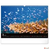 Kép 4/13 - Falinaptár 2026 Ocean, 48×33 cm Realsystem 2026 kollekció!