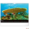 Kép 6/13 - Falinaptár 2026 Ocean, 48×33 cm Realsystem 2026 kollekció!