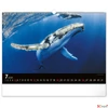 Kép 8/13 - Falinaptár 2026 Ocean, 48×33 cm Realsystem 2026 kollekció!