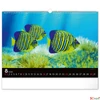 Kép 9/13 - Falinaptár 2026 Ocean, 48×33 cm Realsystem 2026 kollekció!