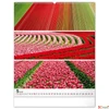 Kép 6/13 - Falinaptár 2026 Palette, 48×56 cm Realsystem 2026 kollekció!