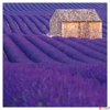 Kép 3/13 - Falinaptár 2026 Provence illatos lemeznaptár 30×30cm Realsystem 2026 kollekció!