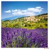 Kép 4/13 - Falinaptár 2026 Provence illatos lemeznaptár 30×30cm Realsystem 2026 kollekció!